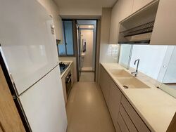 A Treasure Trove (D19), Condominium #520806701
